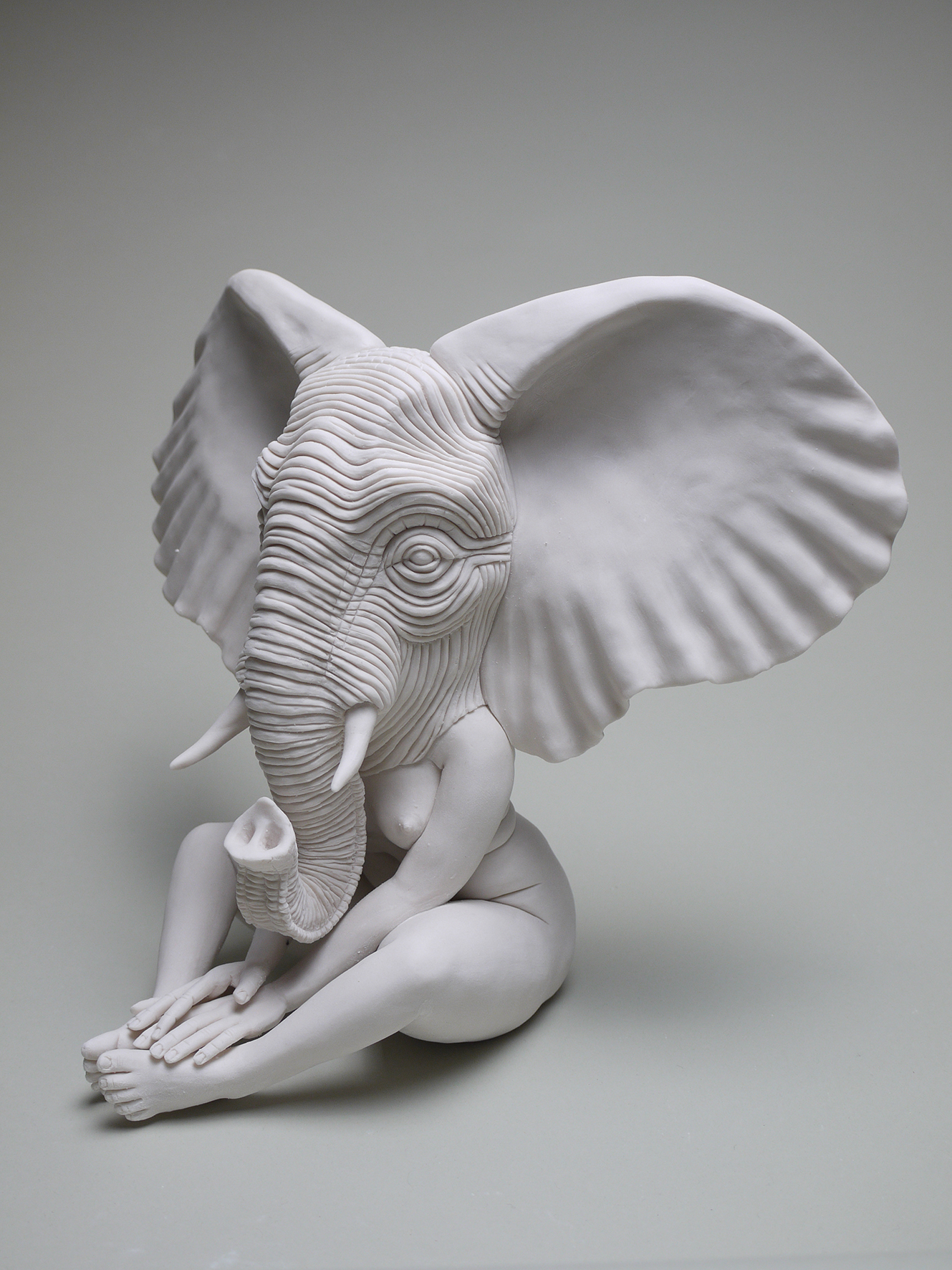 Crystal-MOREY_The-RePlanting_Elephant